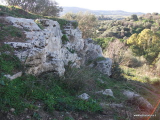 tapiccola-13-01-2013 09-36-57
